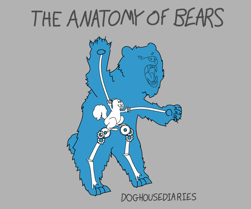 The Anatomy Of Bears