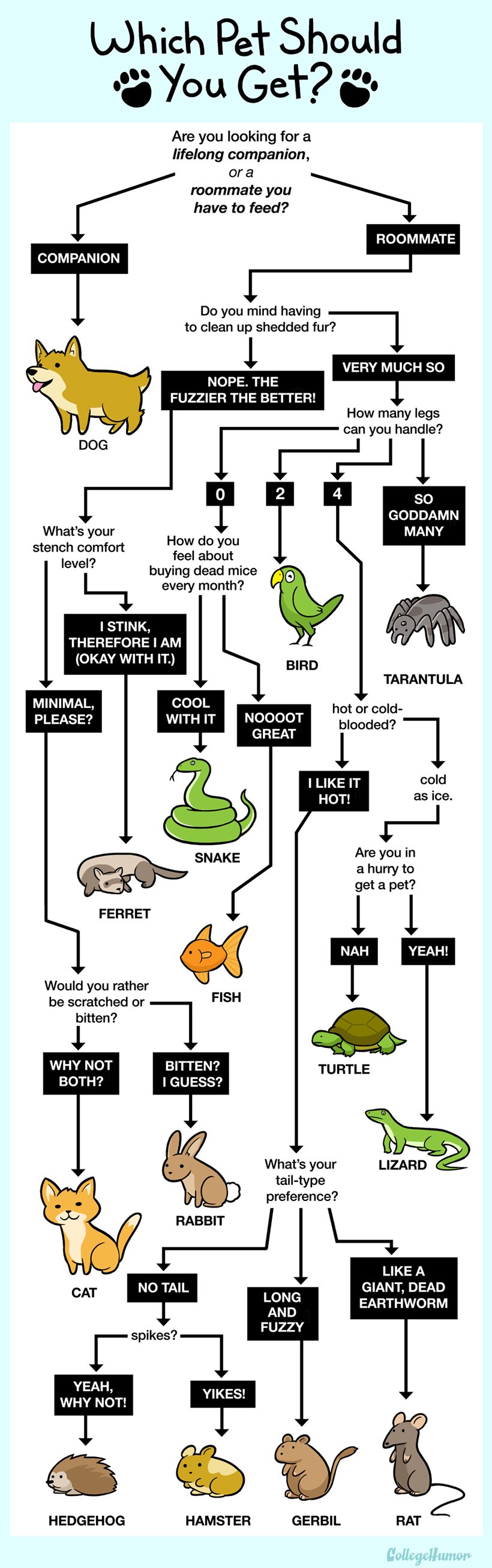 Which Pet Should You Get