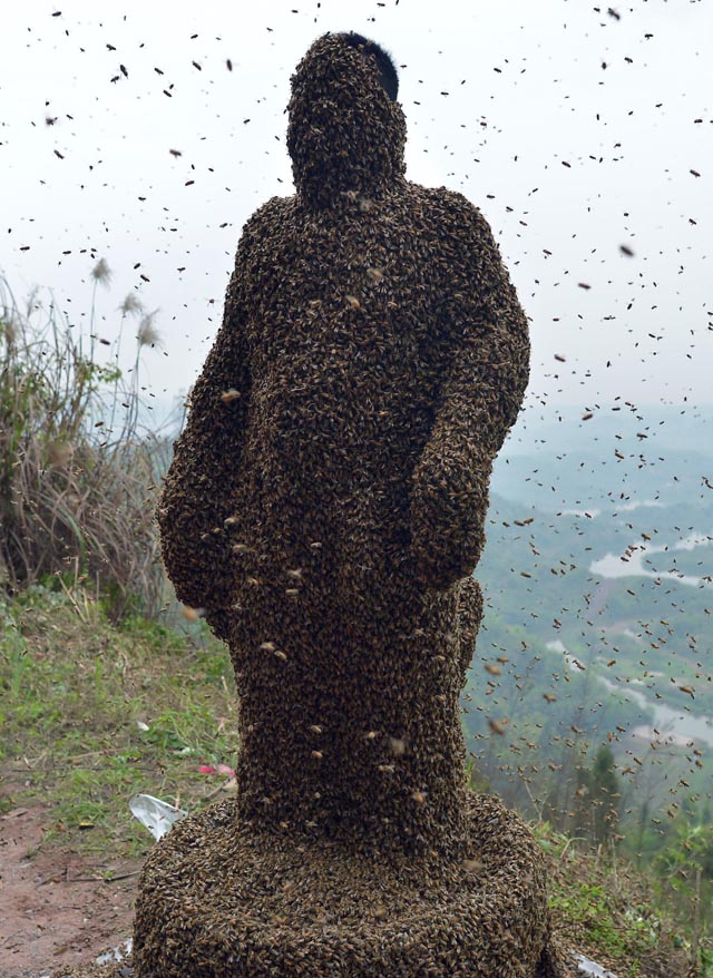 Chinese Beekeeper Coat