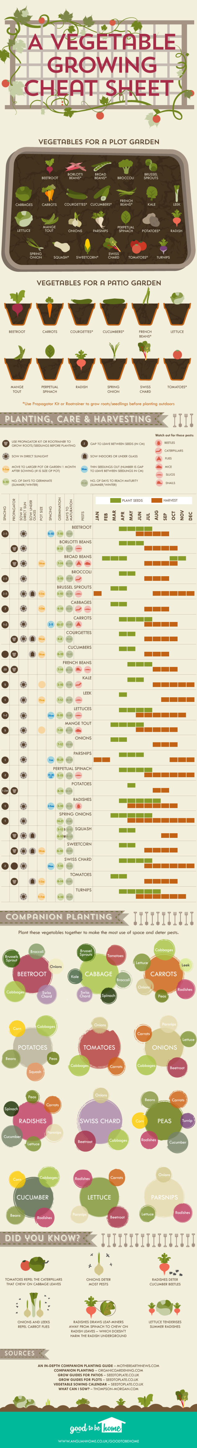 A Vegetable Growing Cheat Sheet