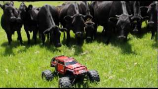 Remote Control Cattle Round-Up