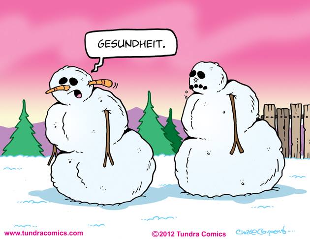 Sneezing Snowman - Gesundheit