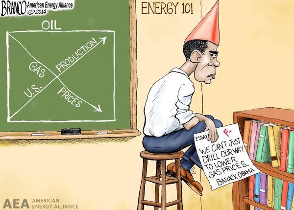 Dunce - Getting Schooled