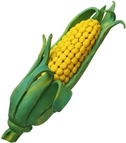 Growing Good Corn