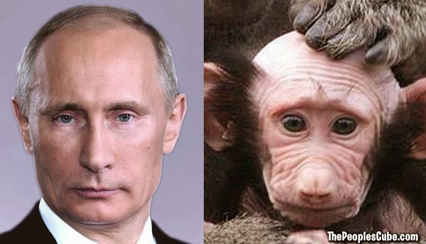 Putin And A Baby Baboon