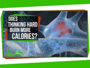 Does Thinking Hard Burn More Calories