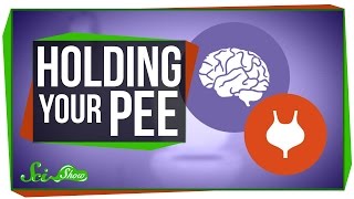 Holding Your Pee - What Happens When You Hold Your Pee
