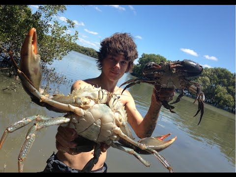 aussie catch mudcrabs mud crabs cook barehanded catching teens two them massive fellas young huge caught lemon butter sauce lunch