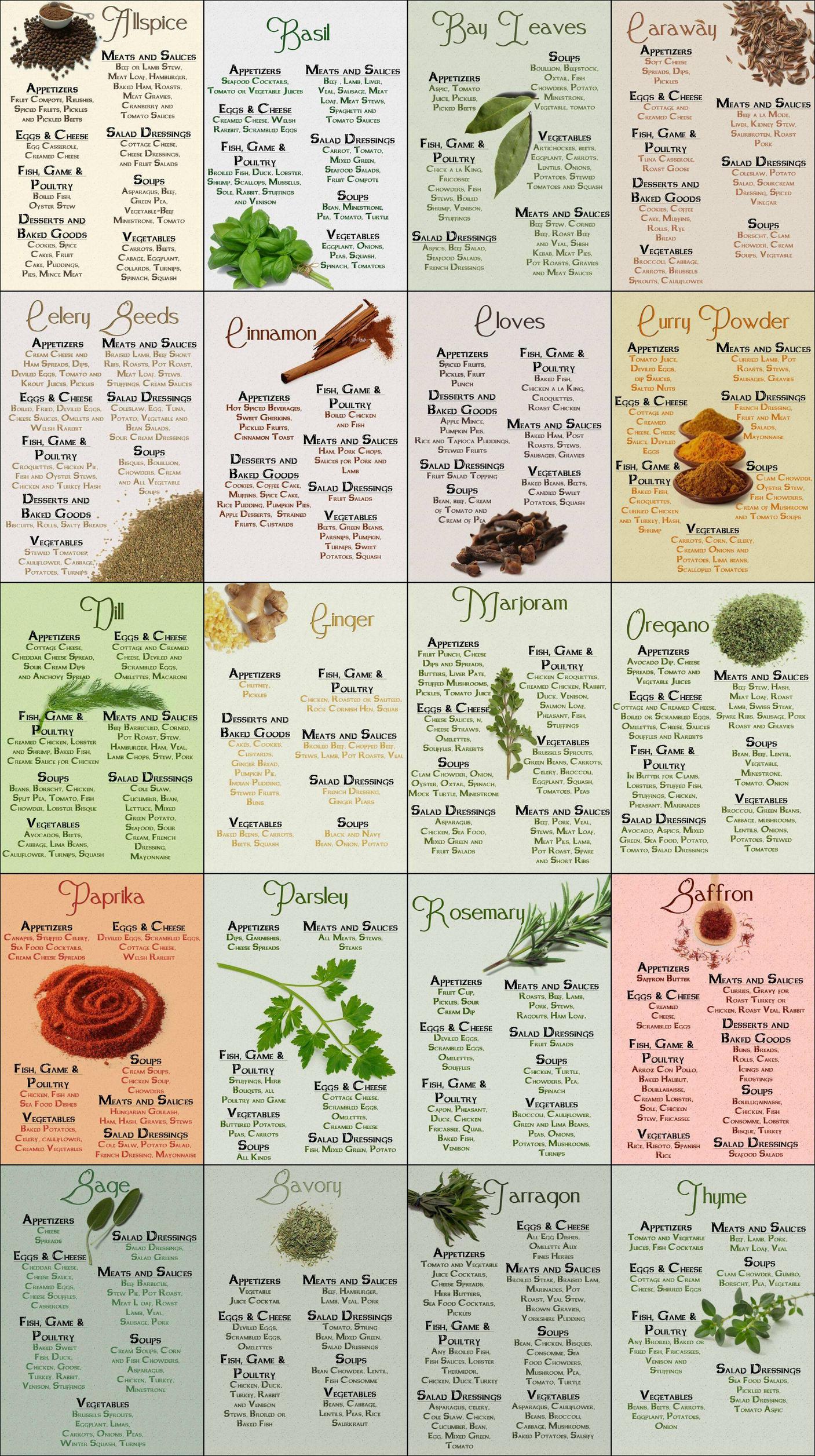 Herb & Spice Chart Common Sense Evaluation