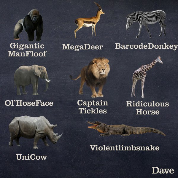 Better Names For Animals