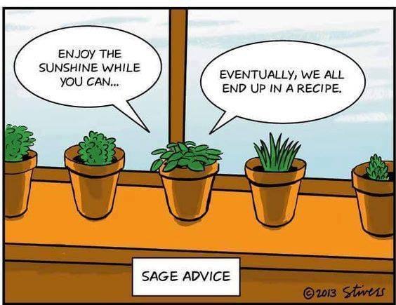 Sage Advice