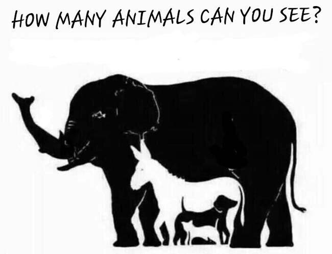 How Many Animals? - Common Sense Evaluation