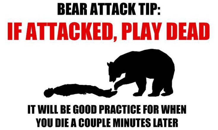 Bear-Attack-Tip.jpg