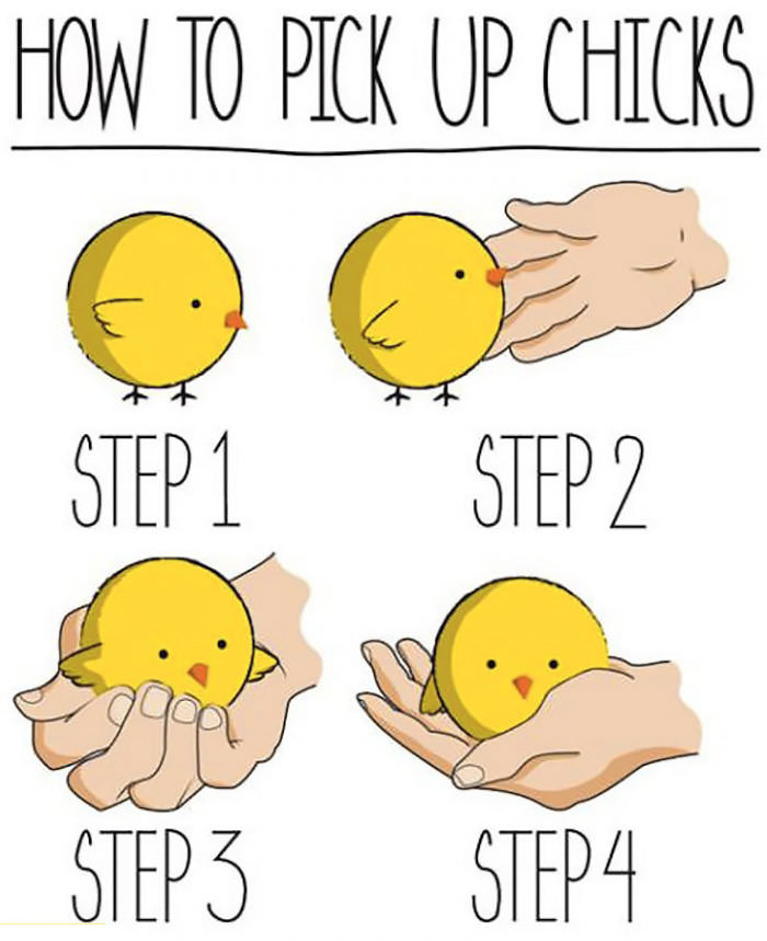 How To Of The Day How To Pick Up Chicks Common Sense Evaluation