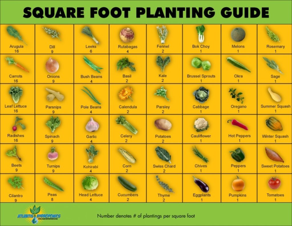 Square Foot Gardening Planner - Common Sense Evaluation