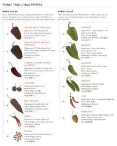 The Chile Pepper Family Tree - Common Sense Evaluation