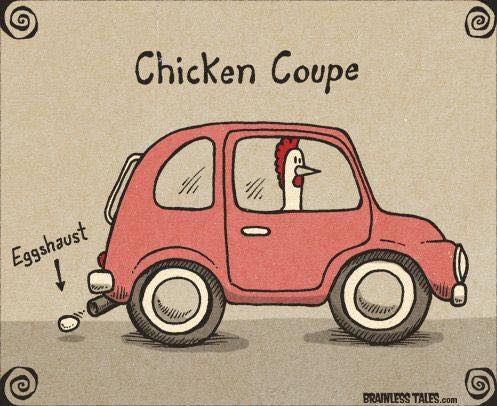 chicken-coupe