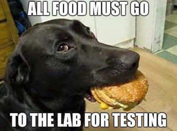 Lab Testing Common Sense Evaluation