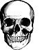 The Secret Origins of Skull & Bones