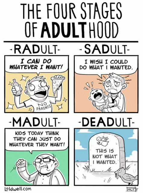 Cartoon Of The Day: Four Stages Of Adulthood