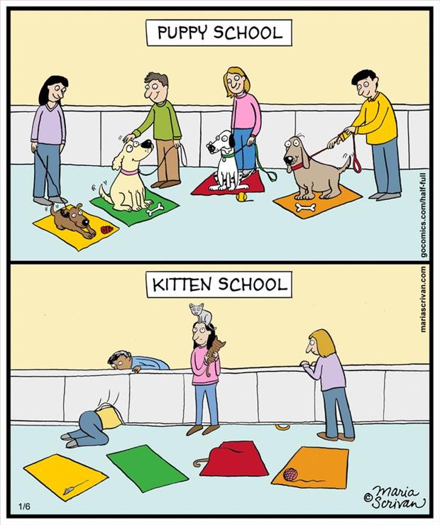 Cartoon Of The Day: Pet School