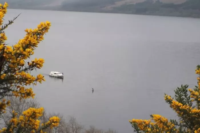 The Loch Ness Monster Filmed Near Passing Boat