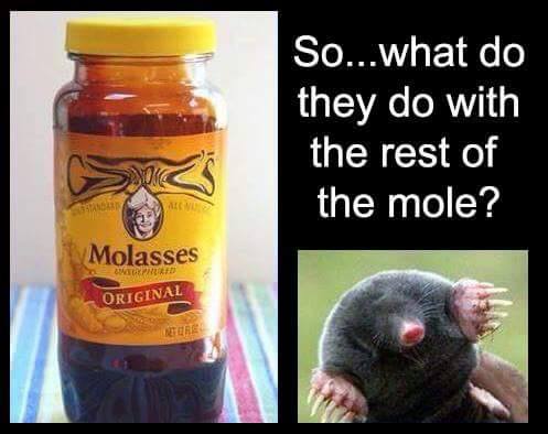Molasses - So... what do they do with the rest of the mole?