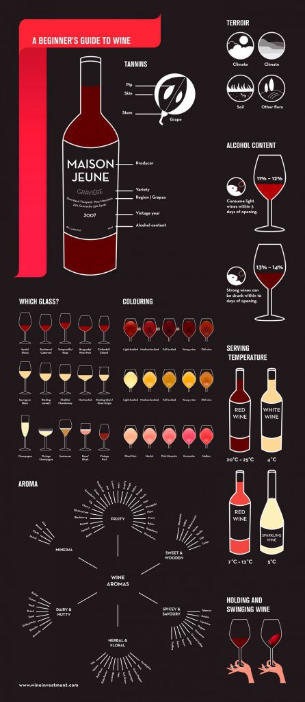 A Beginner's Guide To Wine - Common Sense Evaluation