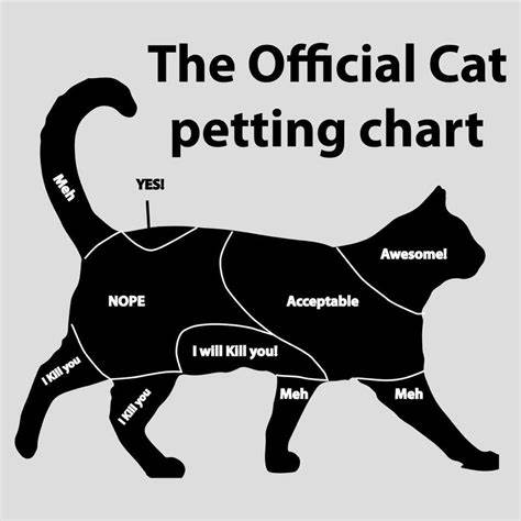 Cat Petting Chart.