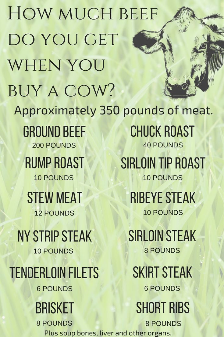 How Much Beef Do You Get When You Buy A Cow? Approximately 100 pounds of ground beef hamburger Chuck Roast = 20 lbs Rolled Rump Roast = 5 lbs