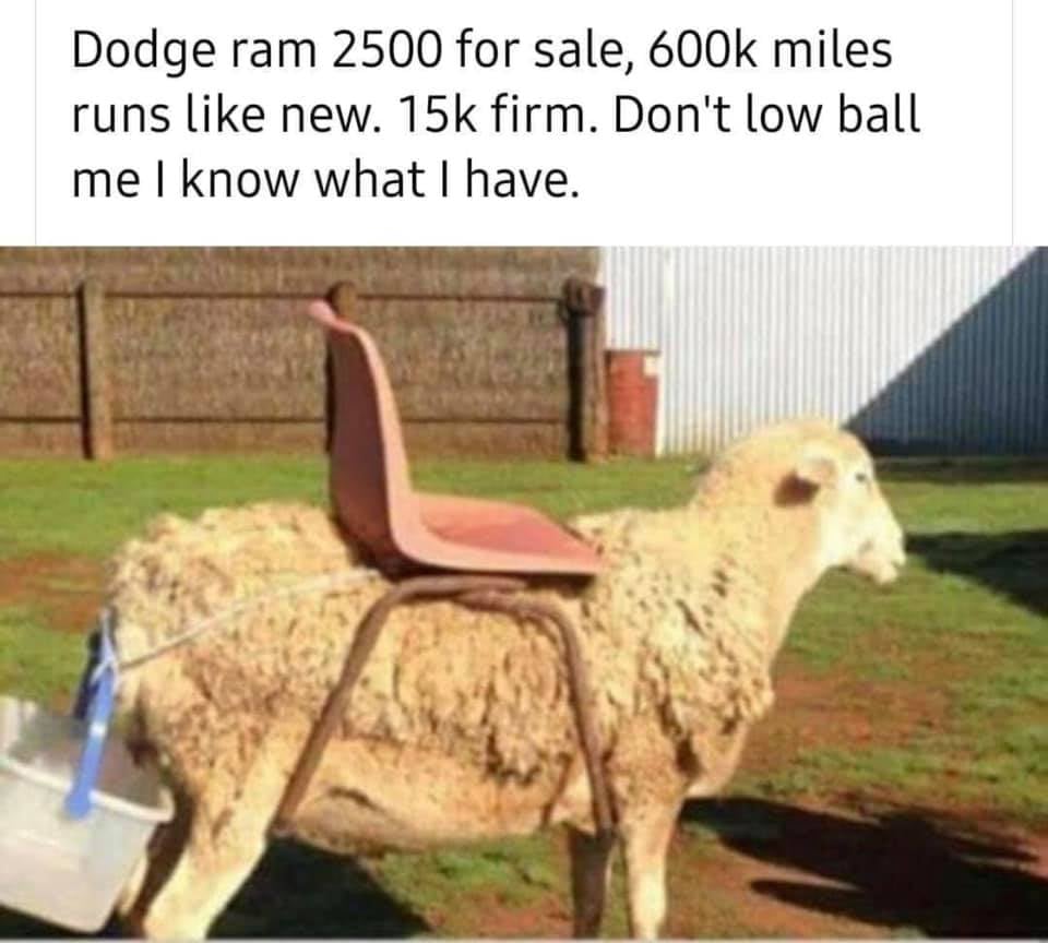 Dodge Ram For Sale