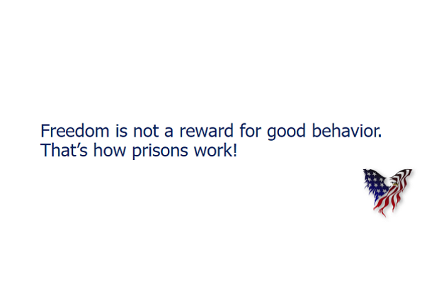 Freedom and Good Behavior - Common Sense Evaluation