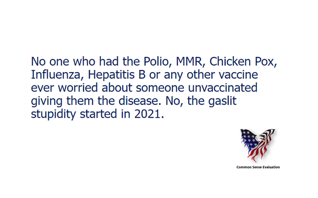 Gaslit Stupidity - Common Sense Evaluation