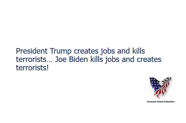 President Trump vs Joe Biden - Common Sense Evaluation