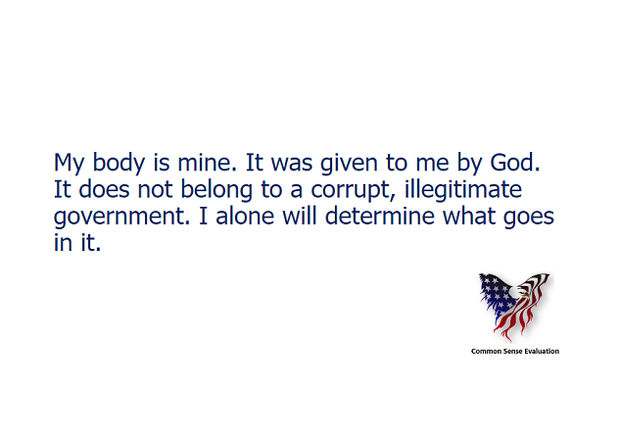 My Body Is Mine - Common Sense Evaluation