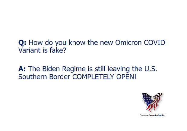 The New Omicron COVID Variant - Common Sense Evaluation