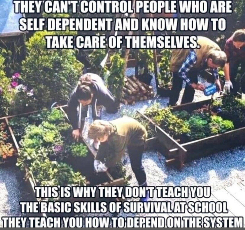 The Basic Skills Of Survival