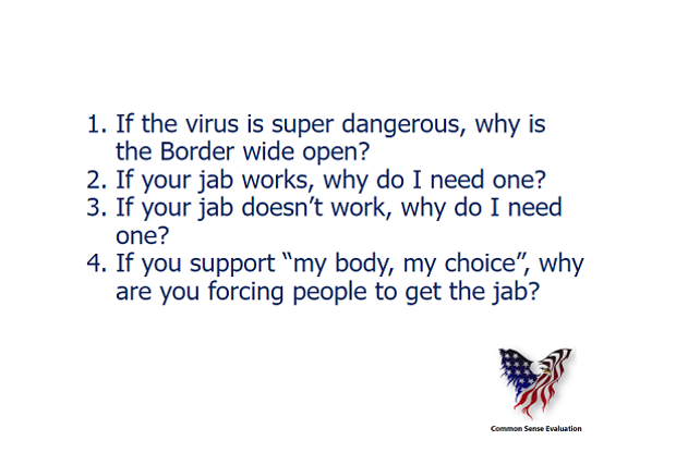 Common Sense COVID Questions - Common Sense Evaluation