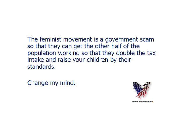 The Feminist Movement - Common Sense Evaluation