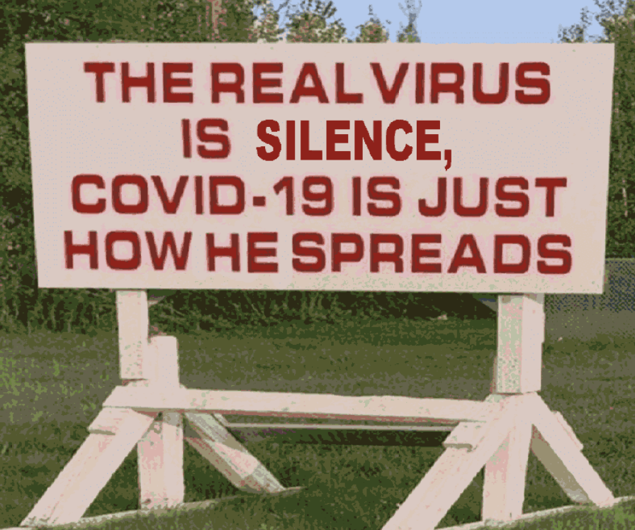 The Real Virus - Common Sense Evaluation