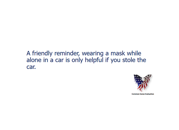 Alone In A Car - Common Sense Evaluation