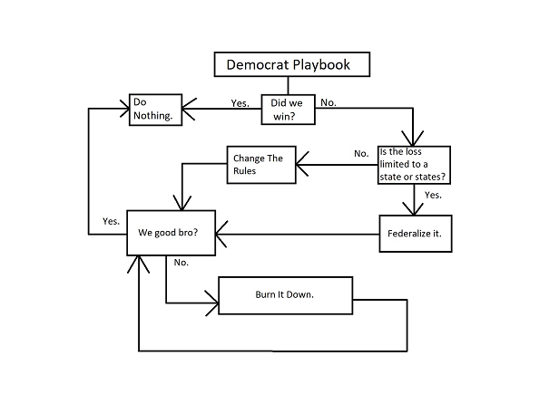The Democrat Playbook