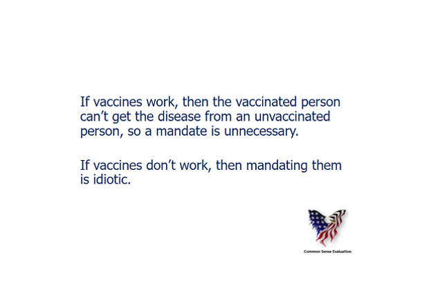 If Vaccines Work - Common Sense Evaluation