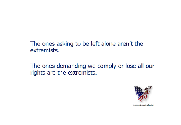 The Extremists - Common Sense Evaluation