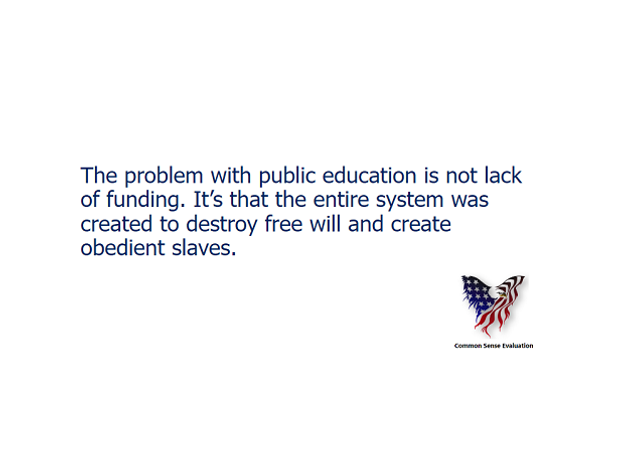 The Problem With Public Education - Common Sense Evaluation