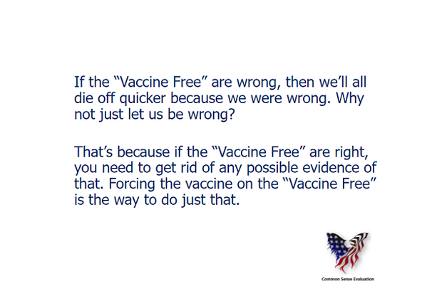 The Vaccine Free - Common Sense Evaluation
