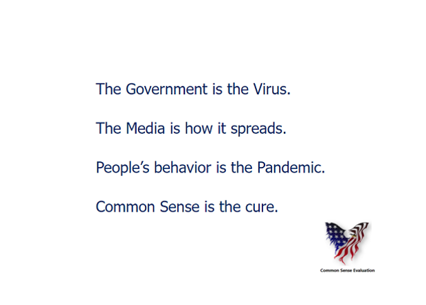 The Virus and The Cure - Common Sense Evaluation