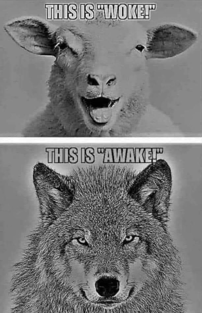 Woke And Awake
