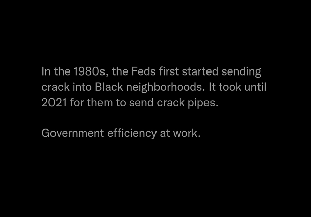 Government Efficiency