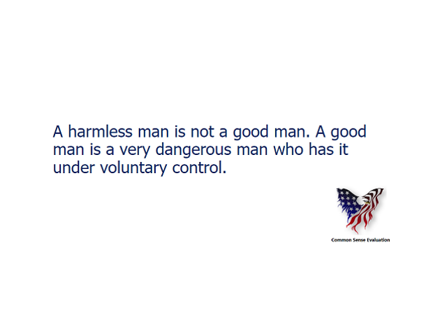 A Good Man - Common Sense Evaluation